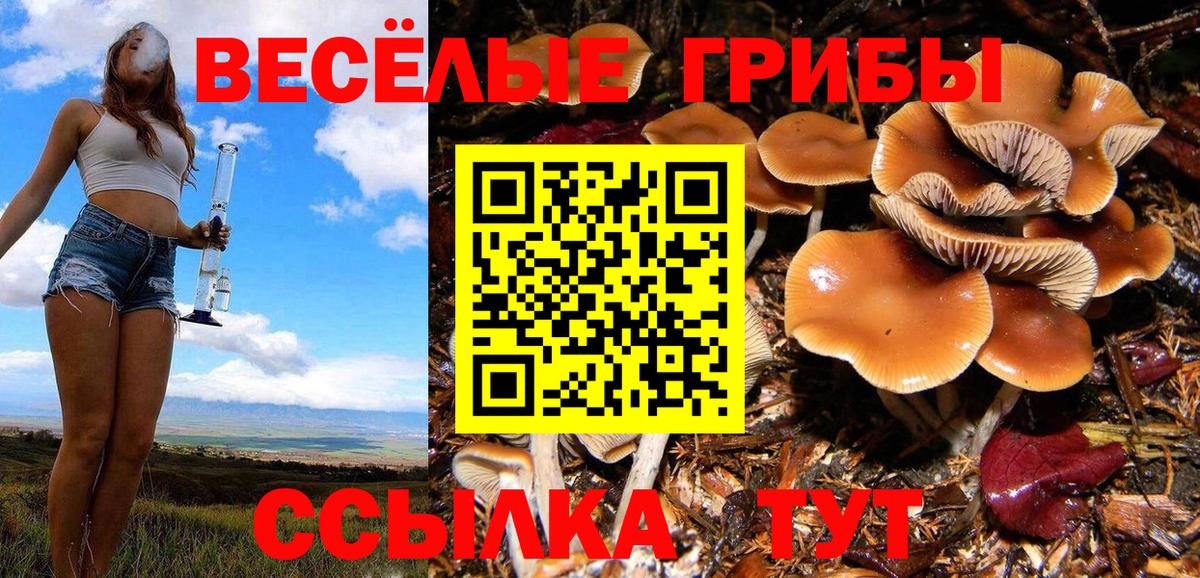 Псилоцибиновые грибы мухоморы  Псилоцибиновые грибы Psilocybe  Верхняя Пышма  Вход с VPN 